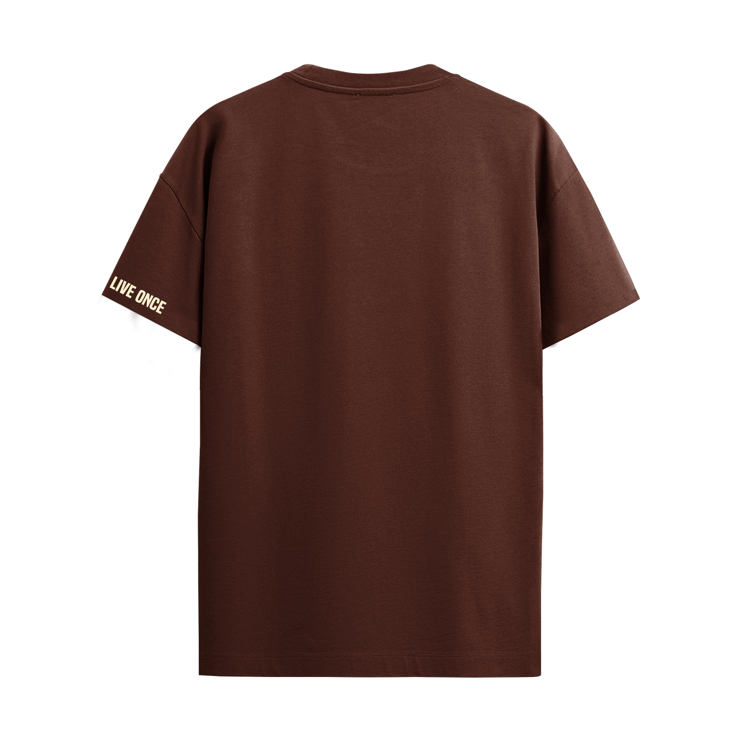WE DON'T PLAY BROWN OVERSIZED T-SHIRT